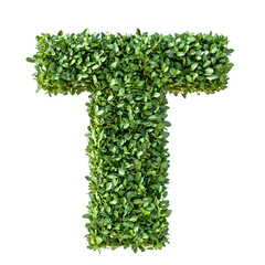 A vibrant green letter T, crafted from lush foliage, stands out against a stark transparent backdrop. Nature's alphabet.