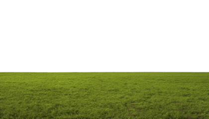 green grass field isolated on transparent background cutout