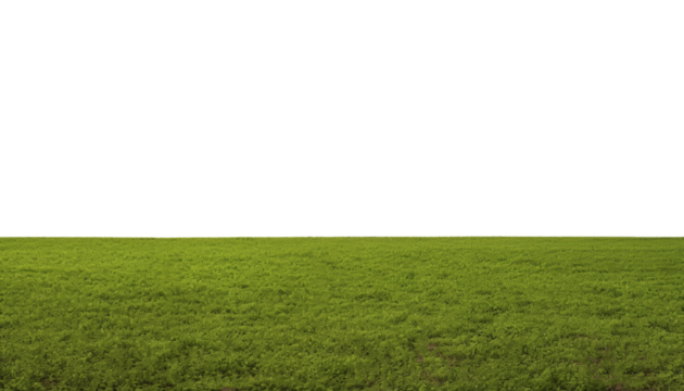 green grass field isolated on transparent background cutout