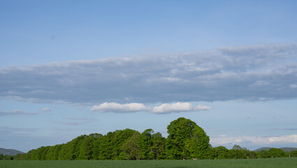 Landscape photo of green trees behind a green field with blue sky and white clouds horizontal landscape image with room for type shot in Boulder, Ontario, Canada on a fall day outdoors with no people 