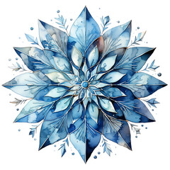 Snowflakes water color illustration with elegant blue color