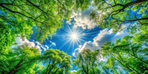 Obraz premium A vibrant summer sky bursts with sunlight, illuminating lush green foliage, casting a dappled shadow on the forest floor