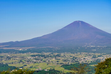 Obraz premium 青空にそびえる富士山と豊かな自然