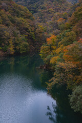 紅葉と湖