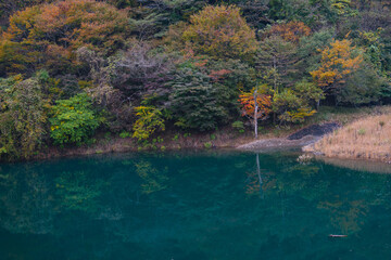 紅葉と湖