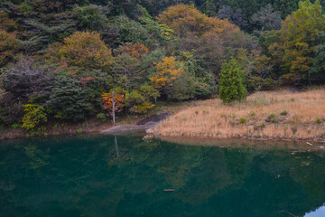 紅葉と湖