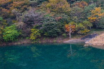 紅葉と湖