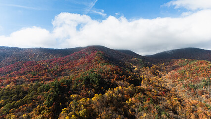 aerial photo of autumn at Atlanta