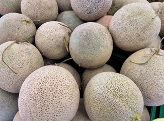 Fresh melon ready to be peeled and eaten.
