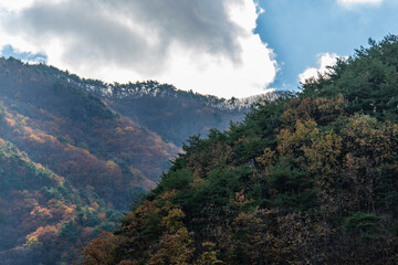 cloud on the autumn mountain