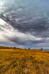 Fototapeta premium Panorama of a yellow fall field in overcast weather.