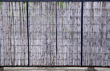 Closeup of Bamboo pattern surface texture for background design at Thailand.