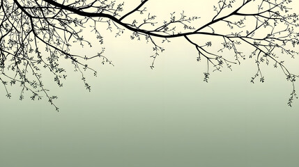 Fototapeta premium Silhouette of branches against a soft green background