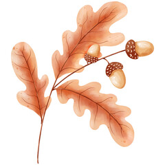 oak leaves and acorns © ToeyToeyartwork