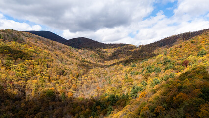 Autumn at Vogel state park