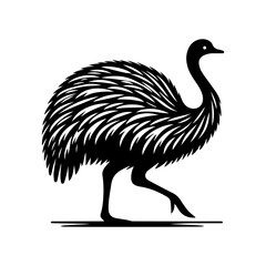 Fototapeta premium Simple Vector Icon of a Darwin’s Rhea – Logo Design Illustration
