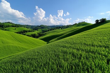 Rolling hills covered in green grass, peaceful countryside landscape with blue sky above