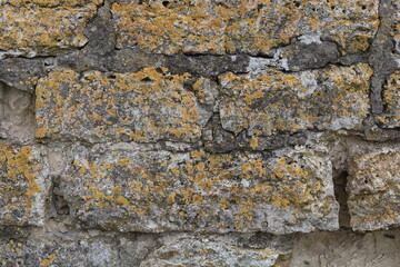 Fototapeta premium The texture of the destroyed brickwork of the Middle Ages. Preserved fortress walls.