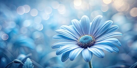 Obraz premium Serene Blue Daisy in Monochrome: A Delicate Exploration of Nature's Beauty in Food Photography, Soft Textures, Minimalist Aesthetics, and Elegant Presentation