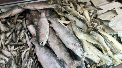 Frozen seafood and fish in refrigerators in a store