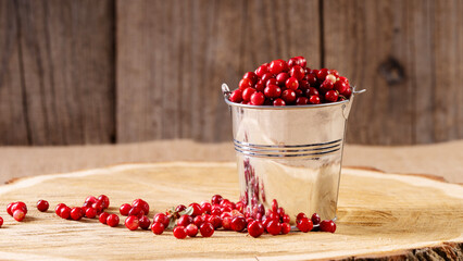 ripe lingonberries in a decorative bucket on a wooden background