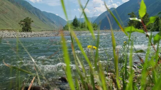 Beautiful mountain river valley in sunlight. Rapid water stream with green grass shores and blue sky on the background. Stunning summer nature landscape.