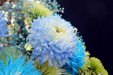 The petals are pale blue chrysanthemums. It is made of white chrysanthemum by using the siphon principle to absorb dyes and make it into colorful.