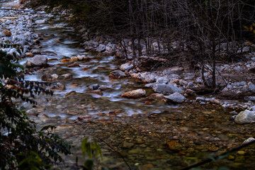Fototapeta premium water flowing into the forest
