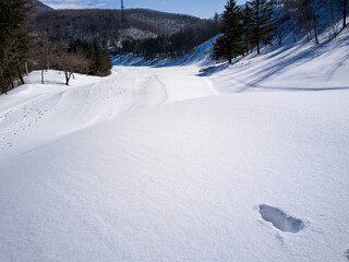 Obraz premium trekking on a snowy winter day