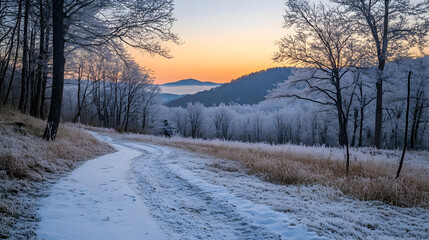 Fototapeta premium Serene Winter Landscape with Frosted Trees and Gentle Sunrise Over Rolling Hills, Capturing the Tranquility of Nature in a Cold Morning Scene