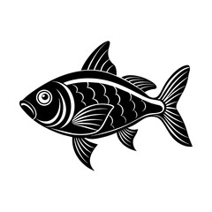 Fototapeta premium fish isolated on white background