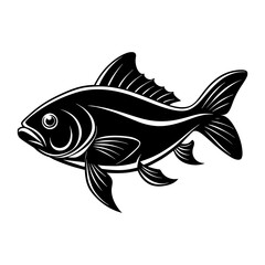 Fototapeta premium fish isolated on white