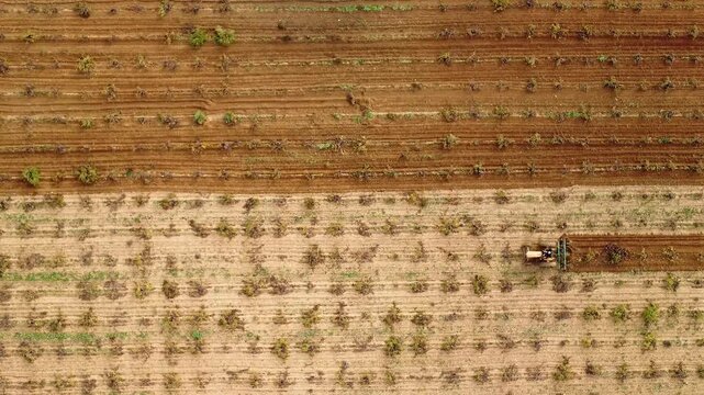 TRACTOR DESCAPOTABLE ARANDO VI&Ntilde;AS