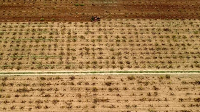 TRACTOR DESCAPOTABLE ARANDO VI&Ntilde;AS