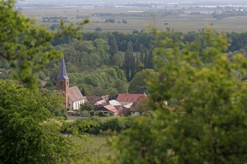 Weinbaugemeinde Forst an der Weinstraße
