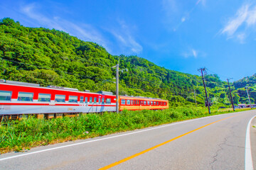 Fototapety na wymiar - Fototapeta24.pl