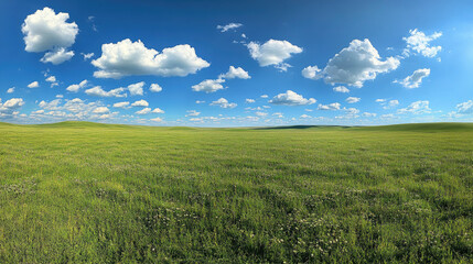 Green grass field and colorful sky clouds at sunset.
