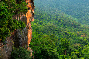 A high vertical cliff It is another popular place. Where tourists often come to experience beautiful nature. Surrounded by lush forests and thick fog in the morning.