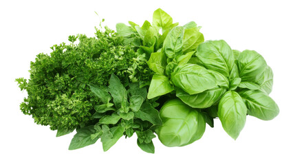 Obraz premium A vibrant bunch of fresh basil and parsley leaves, showcasing their rich green colors and healthy textures.