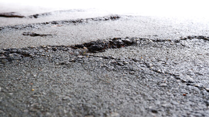 Rough paved road texture background. Close-up rough road surface caused by the large roots of the...