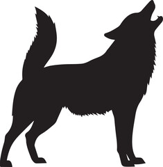 Obraz premium silhouette of a wolf