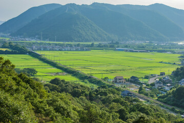 緑に囲まれた村