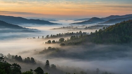 Obraz premium MistyValleyMorningBackgrounds, FoggyMountainLandscapes, SereneNatureScenes, MorningMistValleyDesigns 