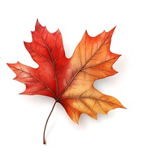 Obraz premium This maple leaf clipart features intricate detailing and vibrant colors of red and orange, making it a perfect autumn element for any design