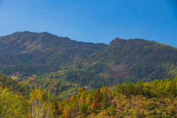 Fototapeta premium Late autumn scenery of Jiuzi River Town, in Luotian, China