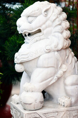 Fototapeta premium Guardian. Chinese lion statue represent Yang force, male, positive, bring, carry a ball. An Giang Province. Mekong Delta, Vietnam.