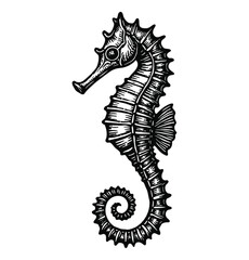Fototapeta premium horse sea engraving black and white outline