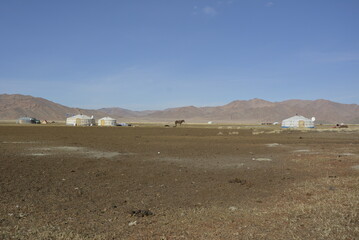 Local Mongolian Uriankhai people are herding off their yaks from the pasture in western Mongolia