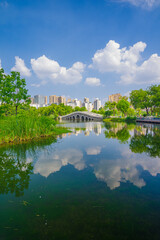 Obraz premium View of Wuhan Zoo, China