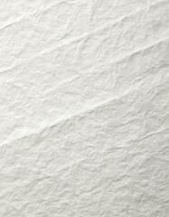 Obraz premium 紙（白）